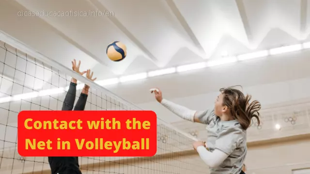 Contact with the Net in Volleyball | Dicas Educação Física