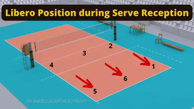 Libero Position during Serve Reception