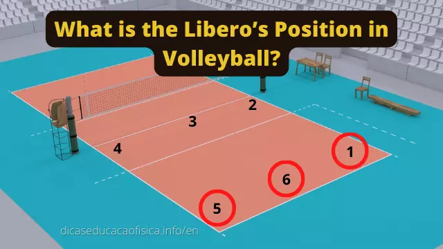 The Evolution Of The Libero In Volleyball